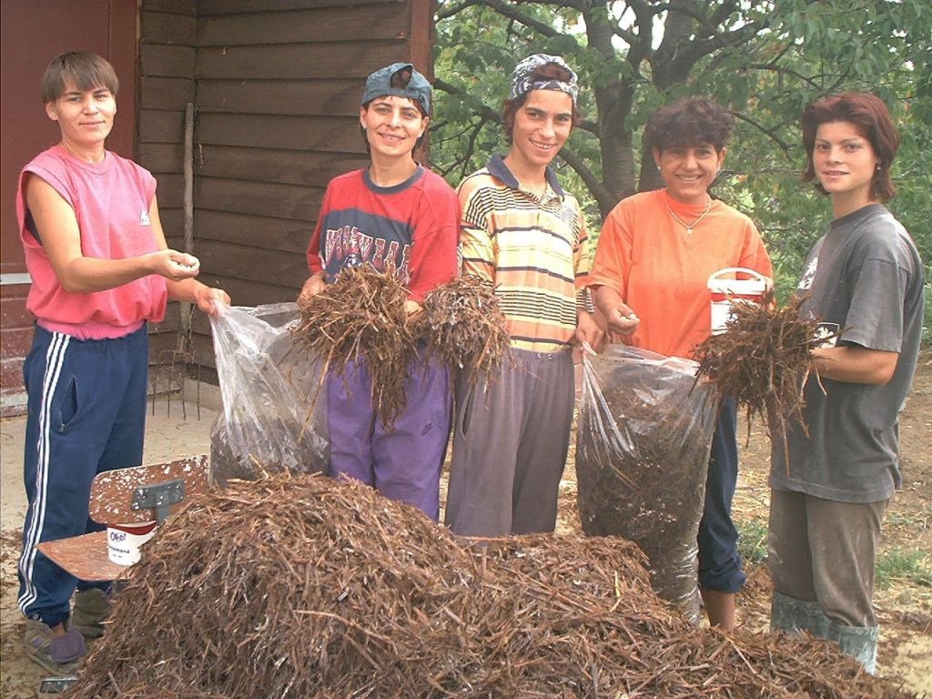 tl_files/_photos/Izvor 2.JPG